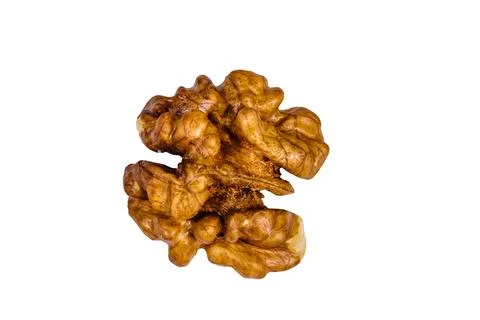 Core of walnut isolated on a white background Stock Photos