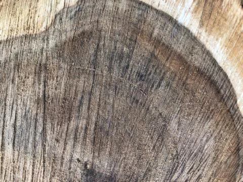 Core wood texture. Top view. Stock Photos