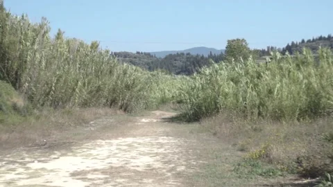 Corfu, Greece - Sidari Seaside Fields (with zoom) Stock Footage 143860607
