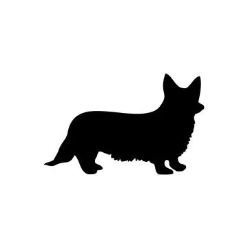 Corgi dog Stock Illustration