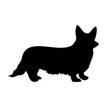 Corgi dog Stock Illustration