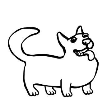 Corgi dog. vector illustration Stock Illustration