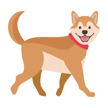 Corgi pet character Stock Illustration