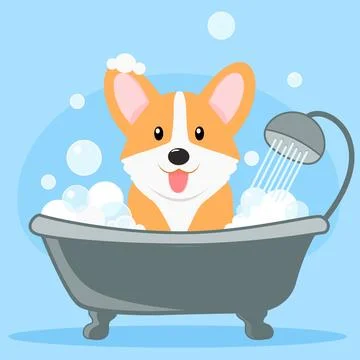 Corgi shower Stock Illustration