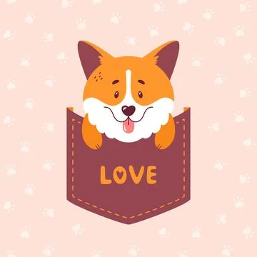 Corgi sitting inside the pocket. Cute dog vector illustration. Stock Illustration