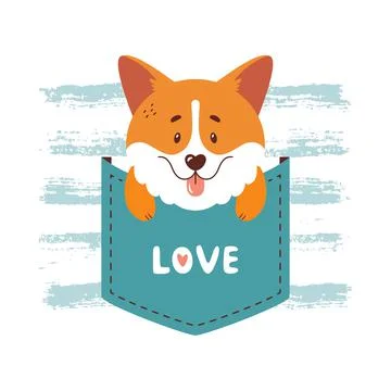 Corgi sitting inside the pocket. Cute dog vector illustration. Stock Illustration