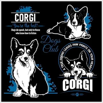 Corgi - vector set for t-shirt, logo and template badges Stock Illustration