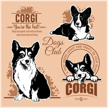 Corgi - vector set for t-shirt, logo and template badges Stock Illustration