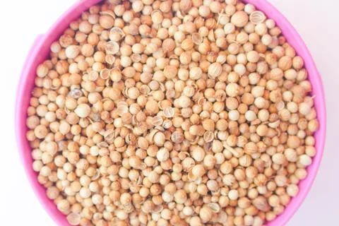 Coriander 2 Stock Photos