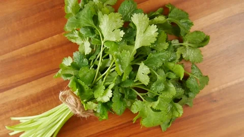 Coriander bunch on the table. Stock Footage 232250900