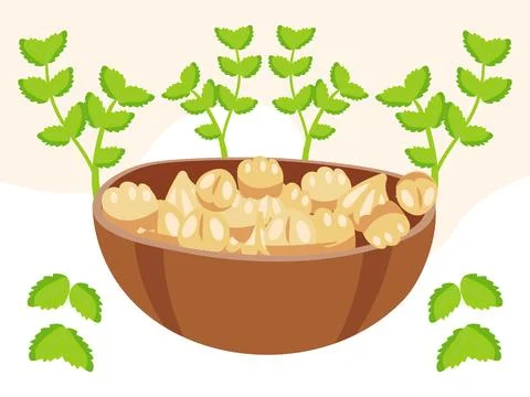 Coriander Concept Illustration Stock Illustration