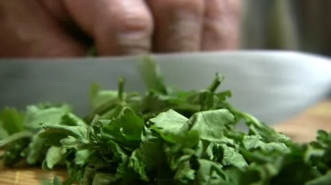 Coriander 스톡 동영상 8951744