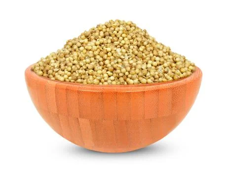 Coriander isolated on a white background Stock Photos
