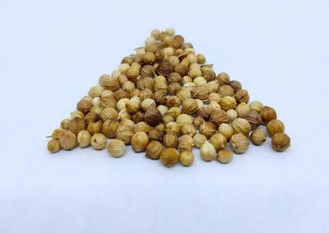 Coriander isolated on a white background Stock Photos