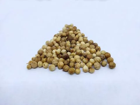 Coriander isolated on a white background Stock Photos