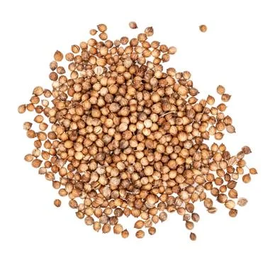 Coriander isolated on white Stock Photos