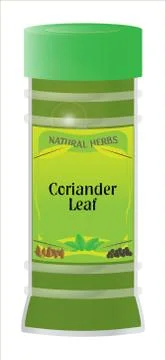 Coriander Leaf Stock Illustration