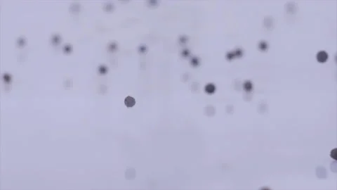 Coriander in moderation rolls towards the camera Video stock 143114492