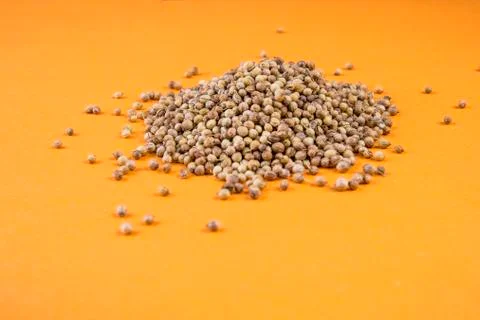 Coriander on an orange background Stock Photos