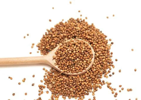 Coriander Stock Photos