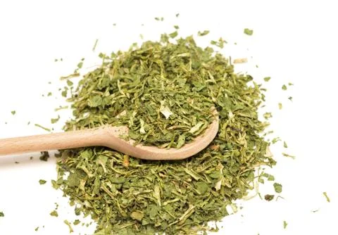 Coriander Stock Photos