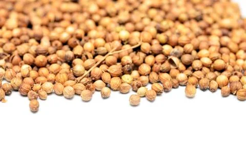 Coriander Stock Photos