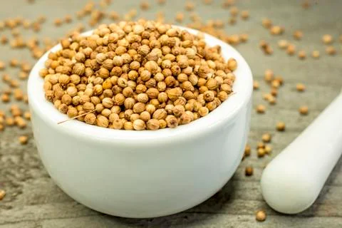 Coriander Stock Photos