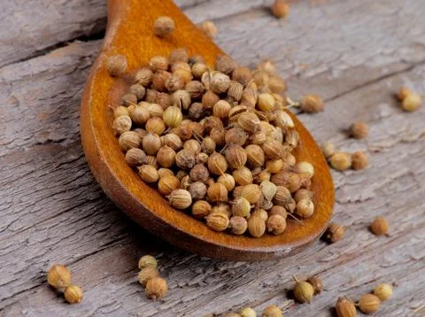 Coriander Stock Photos