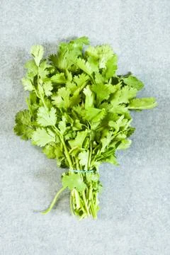 Coriander Stock Photos