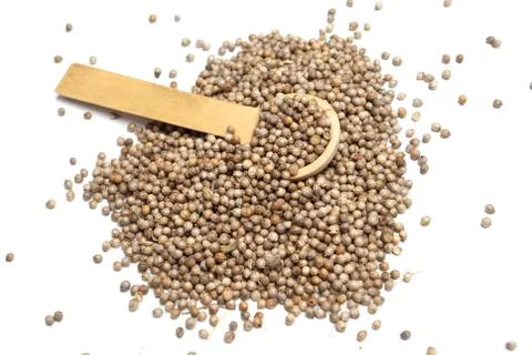 Coriander Stock Photos