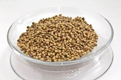 Coriander Stock Photos