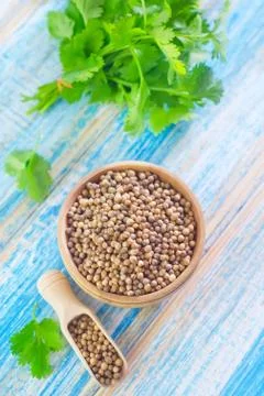 Coriander Stock Photos