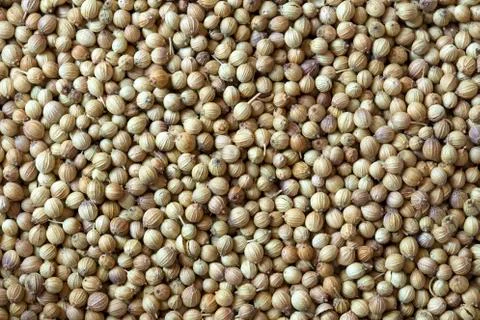 Coriander Stockfoto's