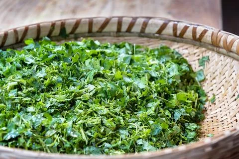 Coriander Stock Photos