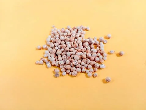 Coriander Stock Photos