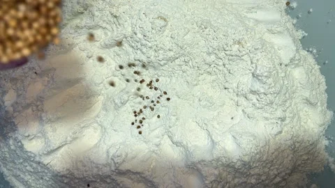 Coriander is poured over the flour Stock Footage 221201674