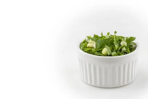 Coriander in ramekin isolated on white background. Stock Photos