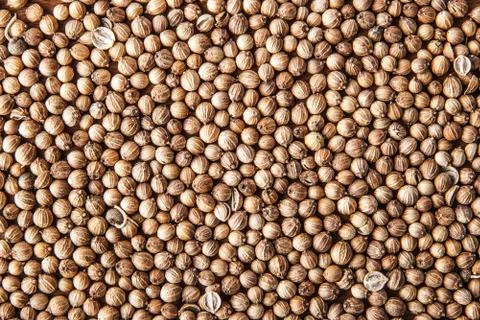 Coriander seed background close-up Stock Photos