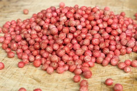 Coriander seed background Stock Photos