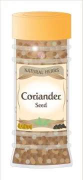 Coriander seed Stock Illustration
