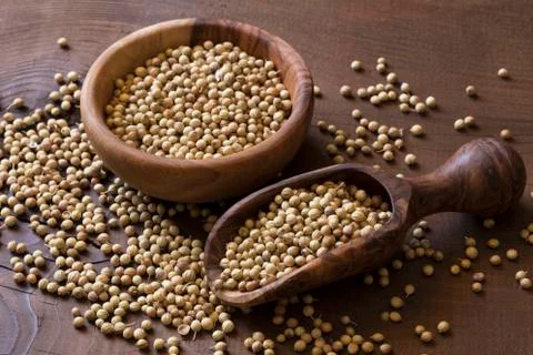 Coriander seed Stock Photos
