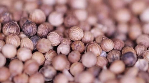 Coriander seed rotation macro 스톡 동영상 59371823