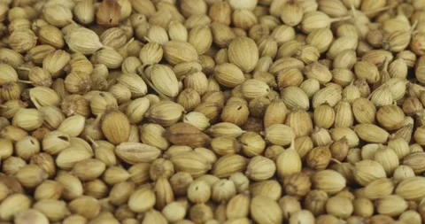 Coriander seeds closeup rotating selective focus Stock Footage 156883292
