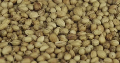 Coriander seeds closeup rotating selective focus 動画素材 168801687