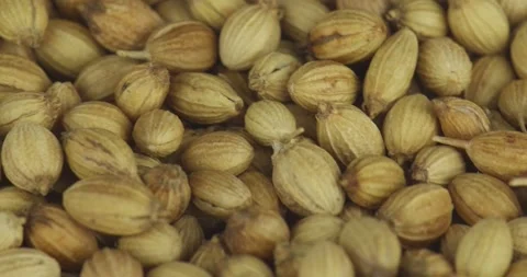Coriander seeds closeup rotating selective focus Stock Footage 199624943