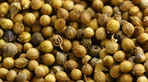 Coriander seeds. Stock Footage 53364452