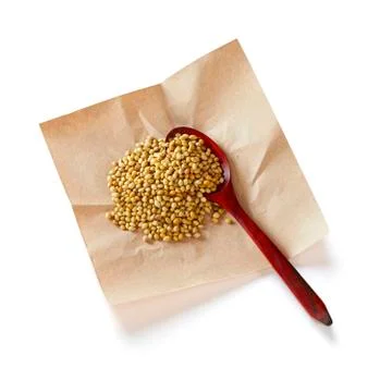 Coriander seeds Stock Photos