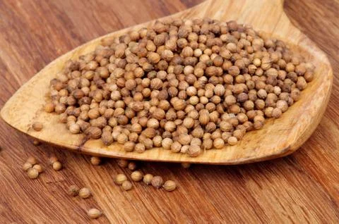 Coriander Seeds Stock Photos