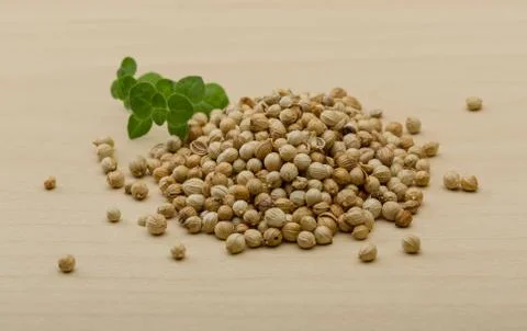 Coriander seeds Stock Photos
