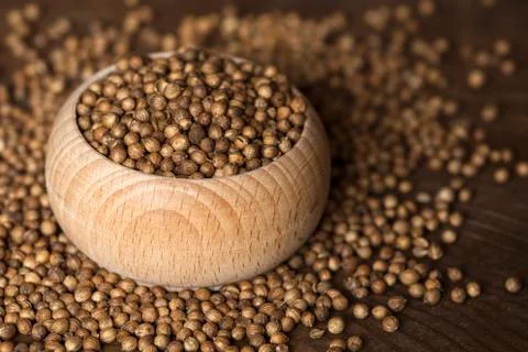 Coriander seeds Stock Photos